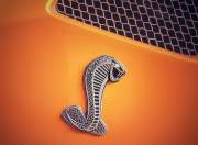 Shelby Cobra logo gal