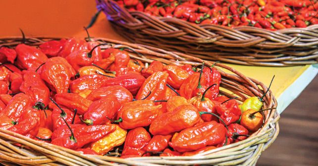 Bhut Jolokia