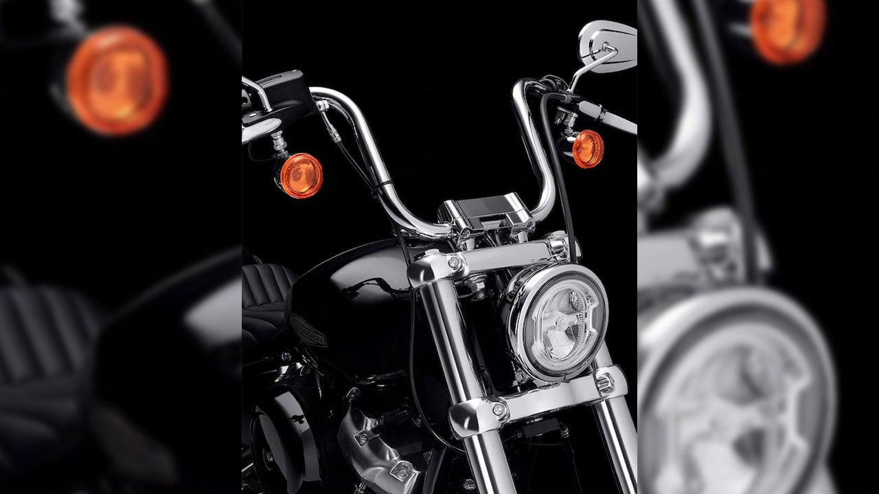 Harley Davidson Softail Image 18 