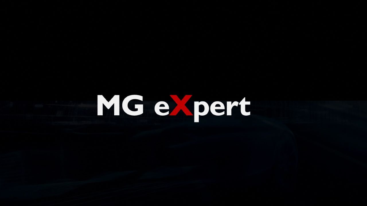 MG EXpert Logo
