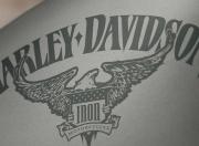 Harley Davidson Iron 883 Brand Logo Name
