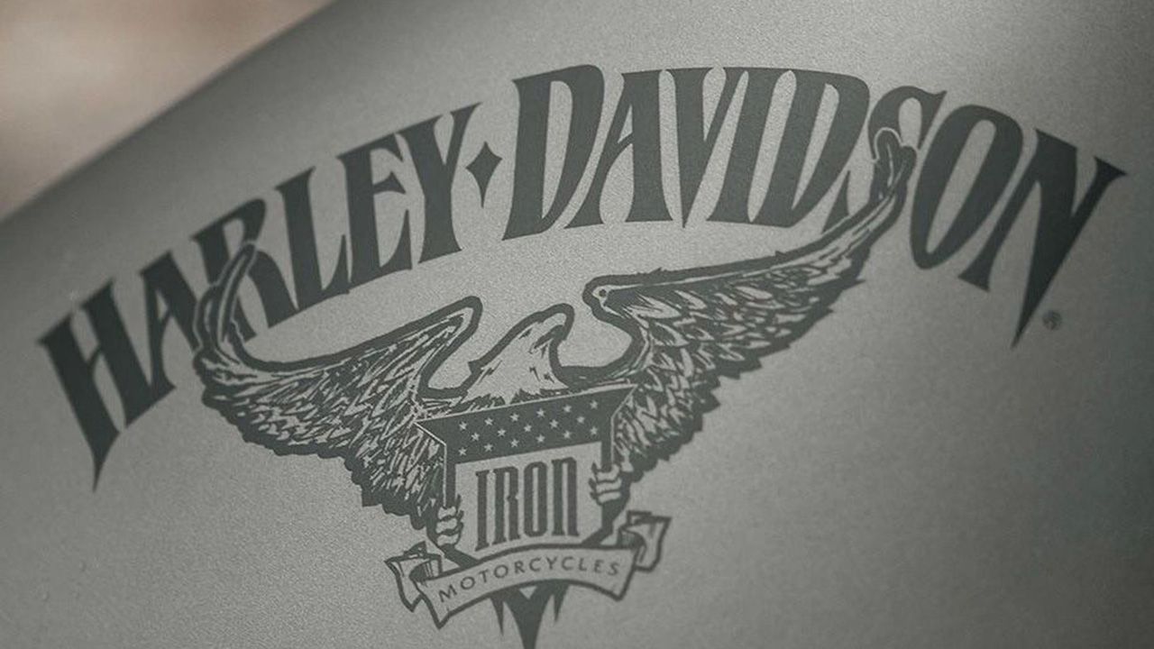 Harley Davidson Iron 883 Brand Logo Name