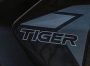 Triumph Tiger 900 Model Name