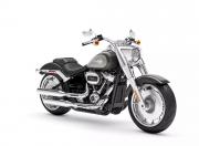 Harley Davidson Fat Boy 2023 Gray Haze Silver Fortune