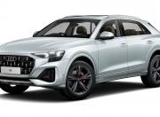 Audi Q8 Satellite Silver Metallic