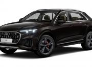 Audi Q8 Tamarind Brown Metallic