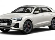 Audi Q8 Vicuna Beige Metallic