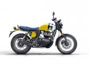 Royal Enfield Bear 650 Wild Honey